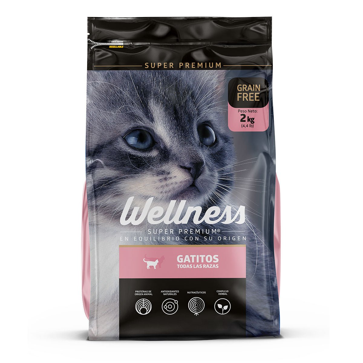 Wellness Salmon Gatitos Todas las Razas - Golmos