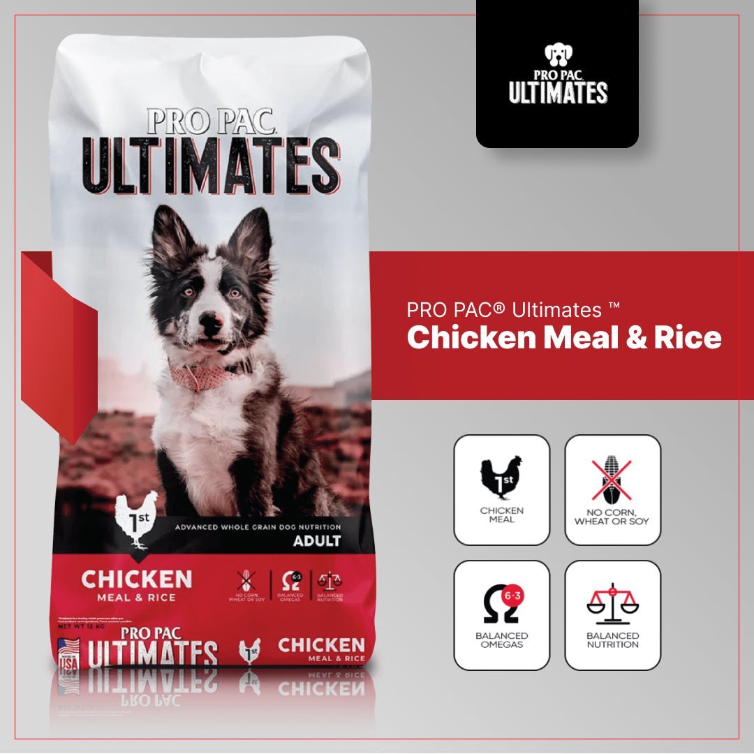 Pro Pac Ultimates Chicken & Brown Rice Adultos Todas las Razas - Golmos