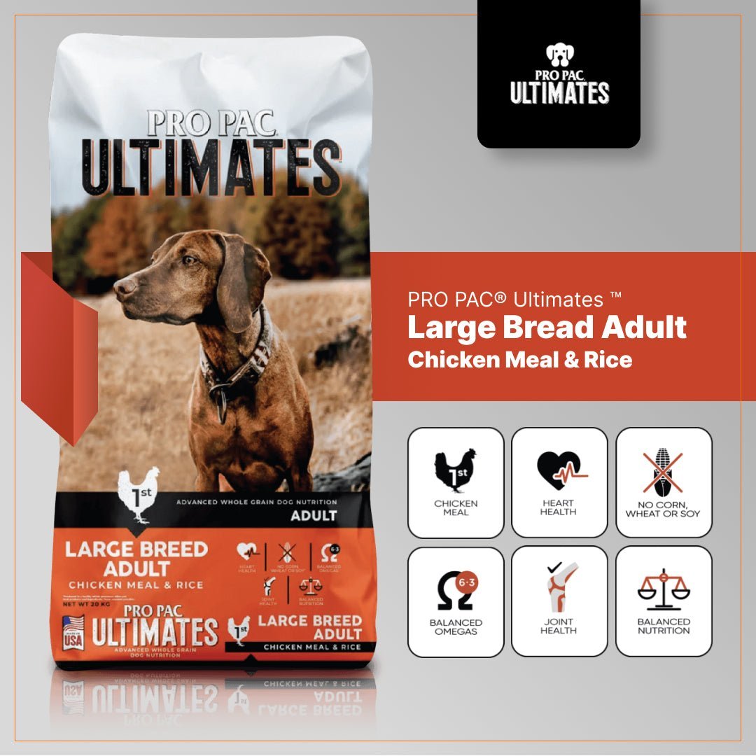 Pro Pac Ultimates Large Breed Adult – Chicken & Brown Rice Razas Grandes - Golmos