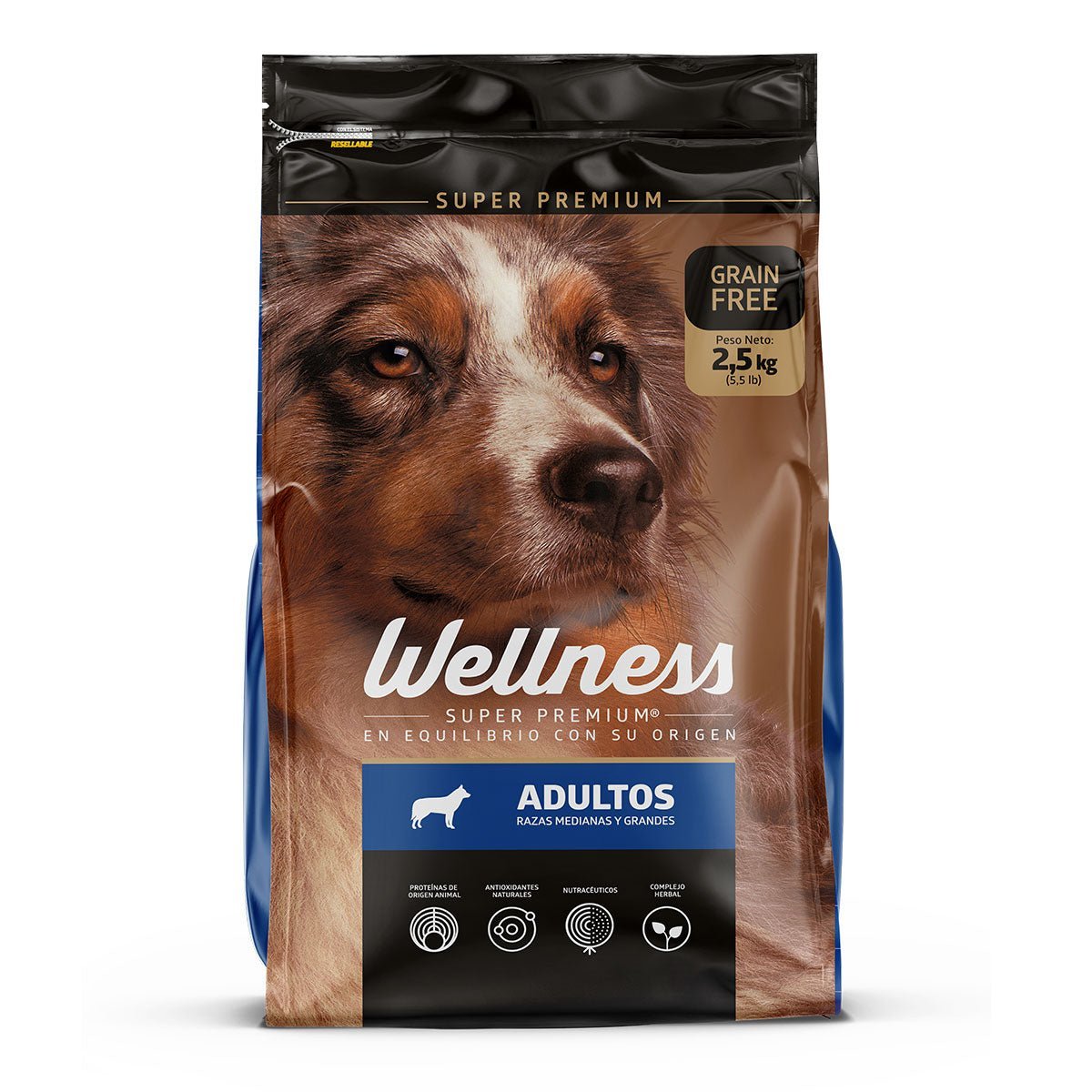 Wellness Adultos Razas Medianas y Grandes - Golmos